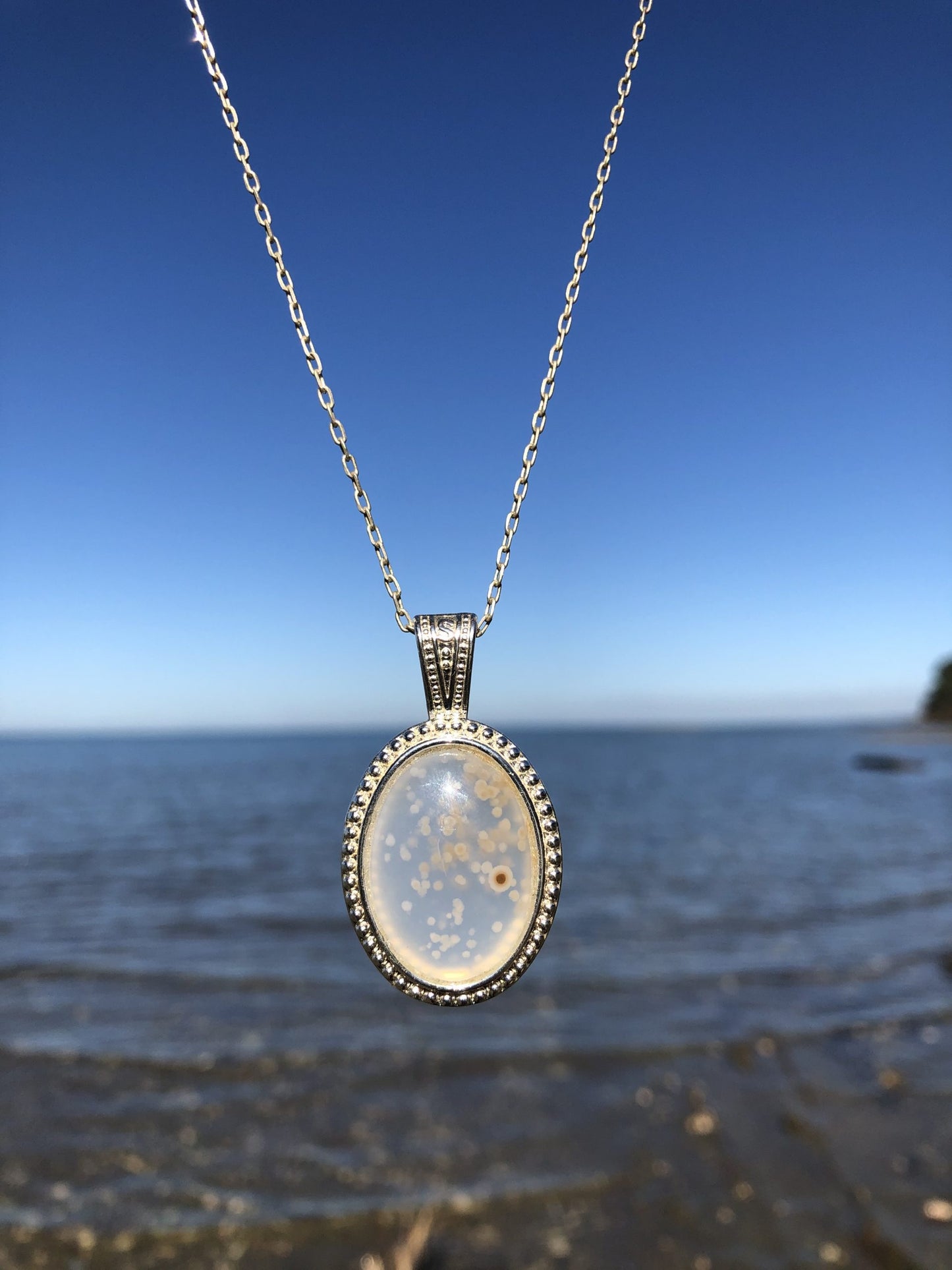 Necklace with natural petrified wood from Matauri Bay, New Zealand, showing delicate pale blue with dots (bubbles) of tan and brown, hand polished to a 25x18mm cabochon and set in a silver plated setting with 19 inch chain, front