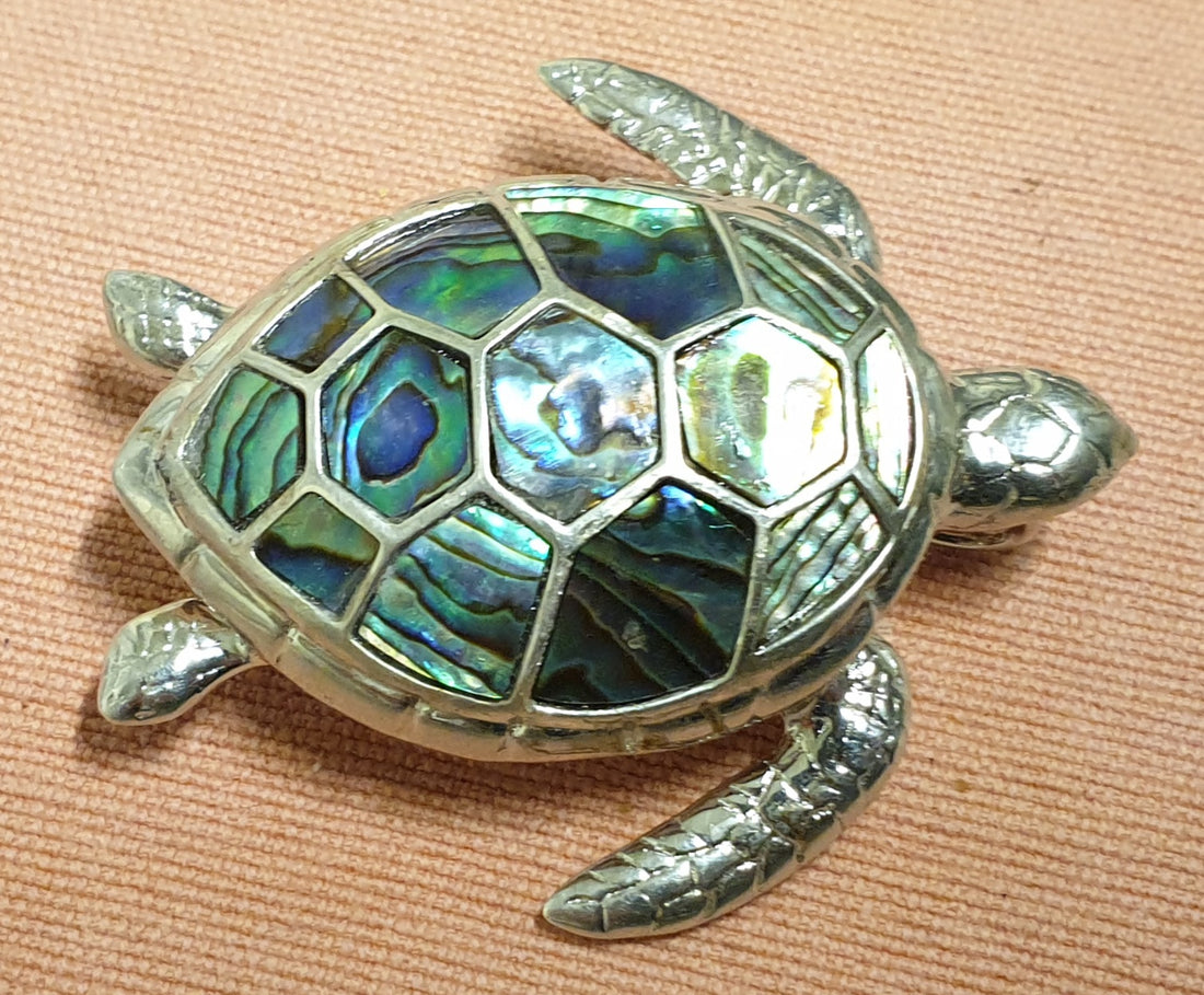 Paua Turtle