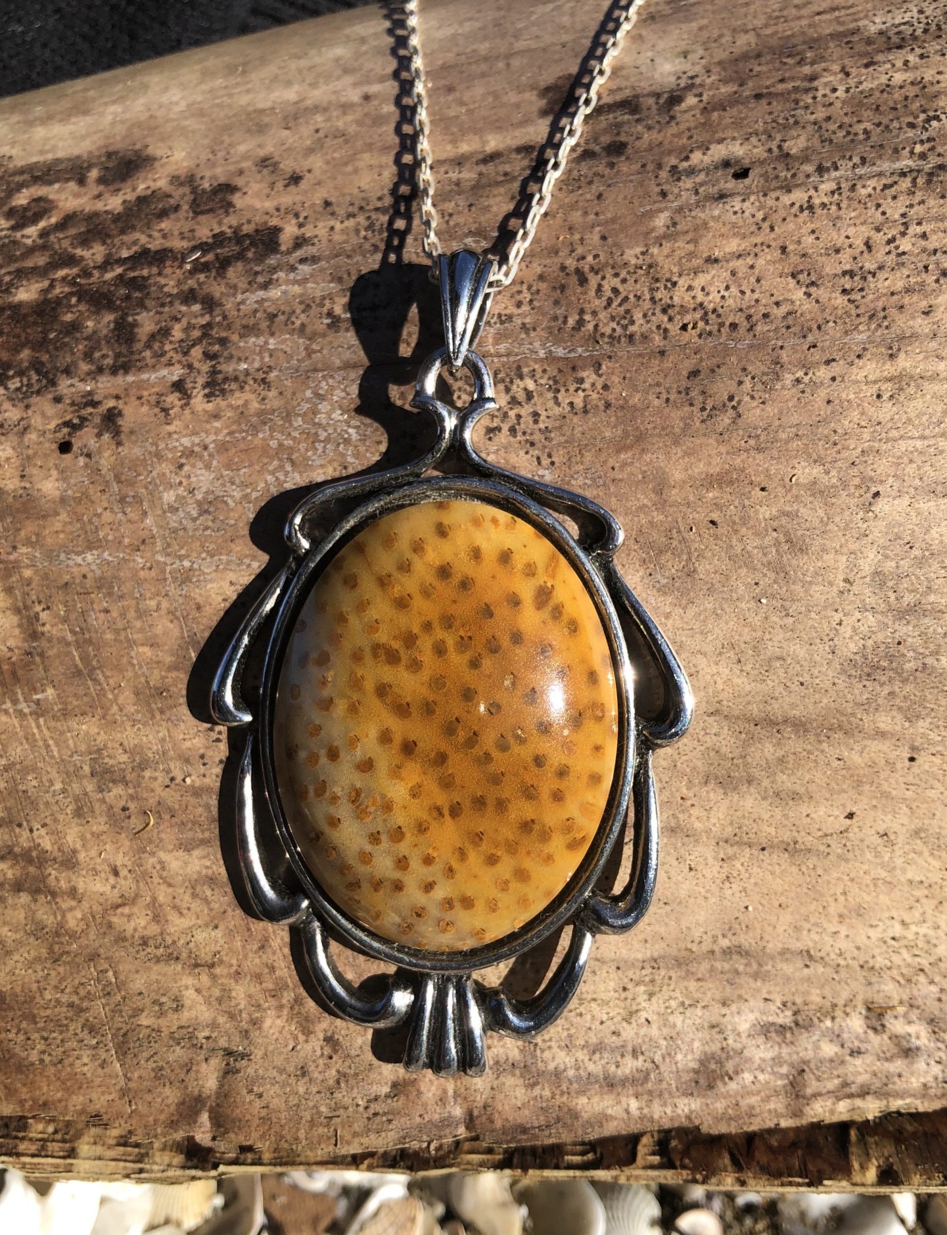 Necklace with petrified palm wood. This was claimed to be New Zealand palm but it looks more like some Australian palm wood. Either way, it's beautiful, cut cross-section to reveal a dotted pattern with lovely brown, yellow and orange patterns, cut to a 40x30mm cabochon and set in silver plated setting with 19 inch chain - front
