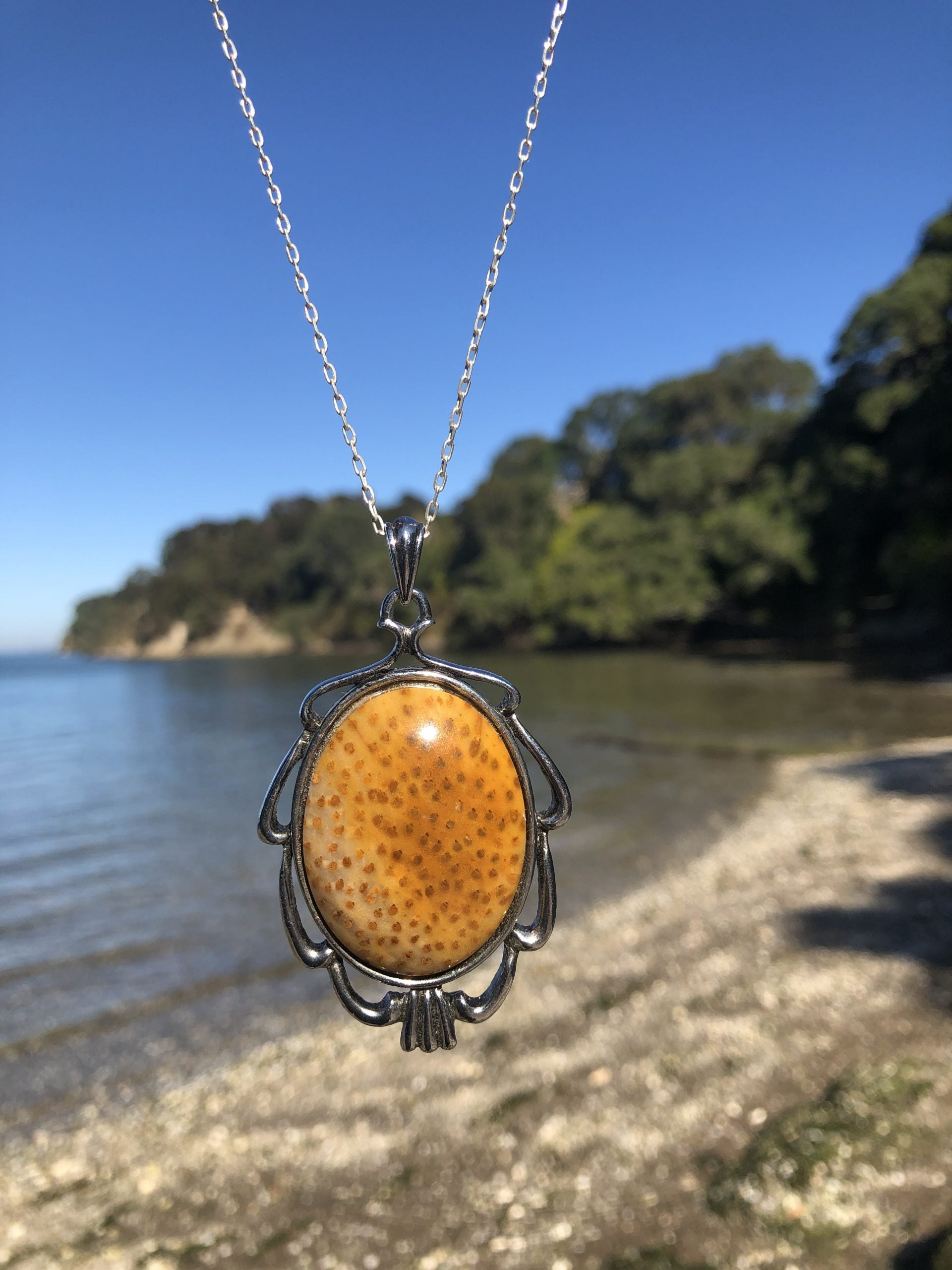 Necklace with petrified palm wood. This was claimed to be New Zealand palm but it looks more like some Australian palm wood. Either way, it's beautiful, cut cross-section to reveal a dotted pattern with lovely brown, yellow and orange patterns, cut to a 40x30mm cabochon and set in silver plated setting with 19 inch chain - on beach