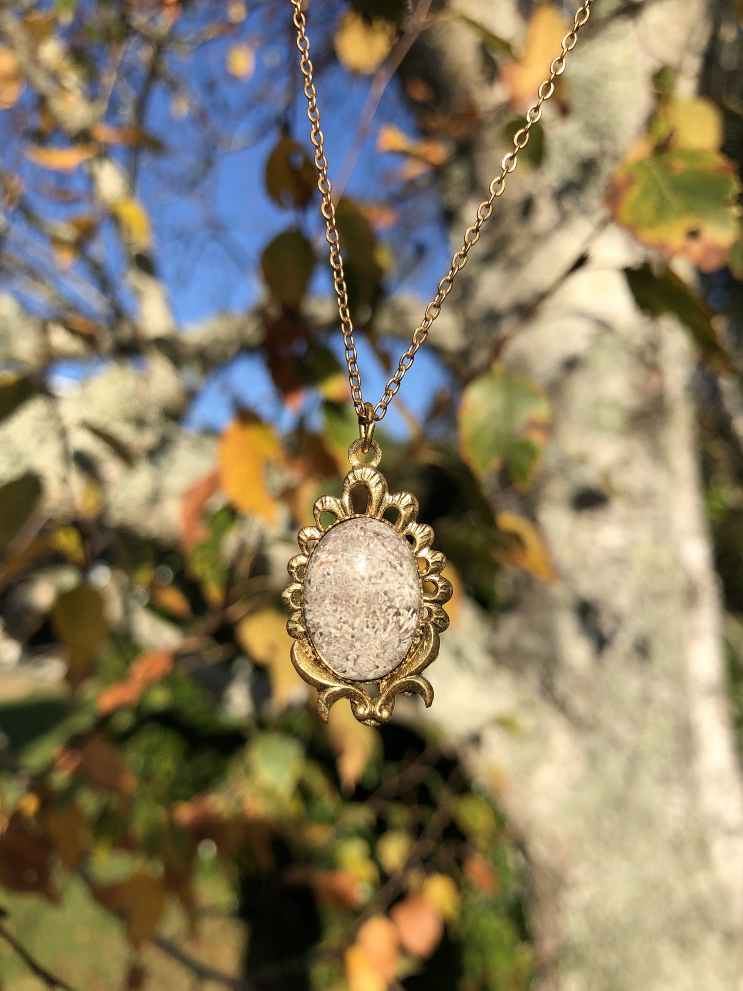 Necklace with Chrysanthemum Rhyolite from Tairua New Zealand with intricate gray and white chrysanthemum patterns, hand polished to a 15x11mm cabochon and set in a gold plated setting with 19 inch chain, with tree-1